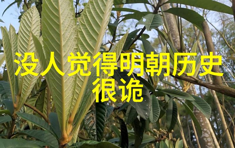 讲历史人物故事意大利第三大葡萄酒产区协会新主席王牌在于多样化产品风格的魅力