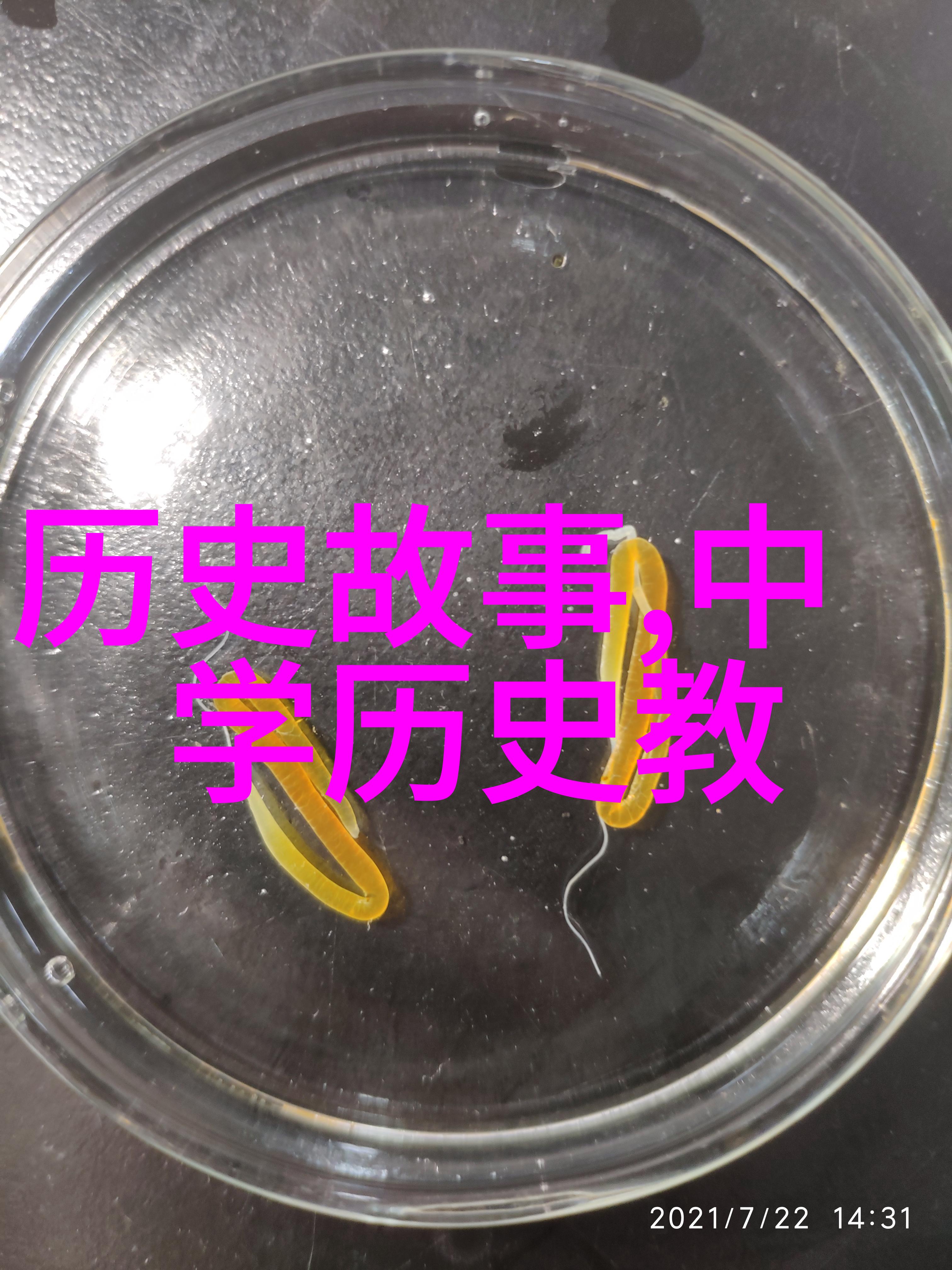 我的历史搜索记录记忆中的虚拟足迹