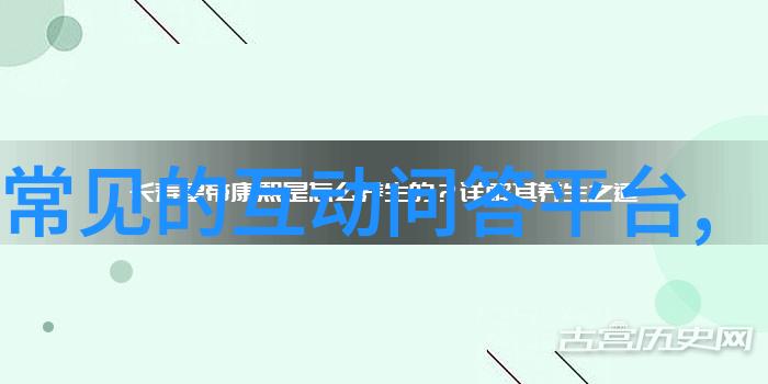 哪些猫种适合初学者养解析最佳选择