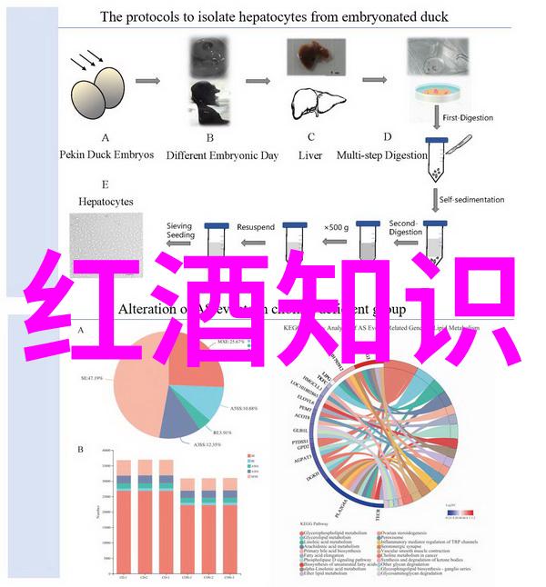 品味悠然绿茶餐厅的静谧午后