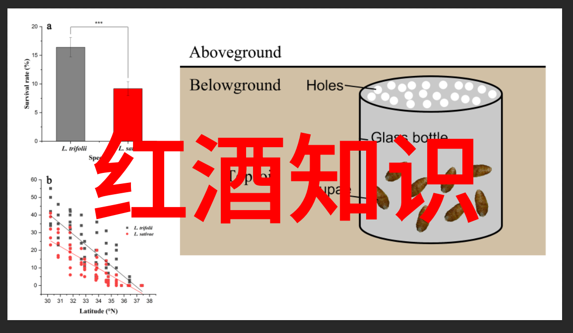 乡土回忆-探秘往昔揭秘那些年我们的庄园游戏