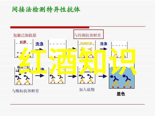 酒文化的醇香与艺术之旅