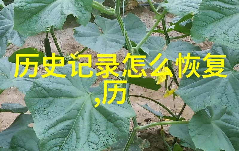 数字博物馆7788收藏app中的秘密世界