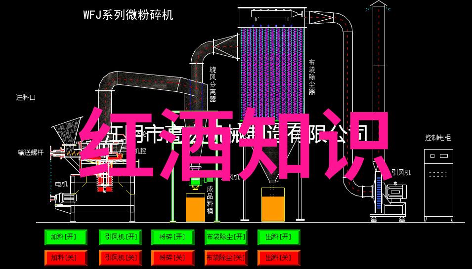 时间的倒影7天历史的隐秘回声