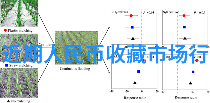 色护士网我是如何在颜值大赛中发现我的完美守护者