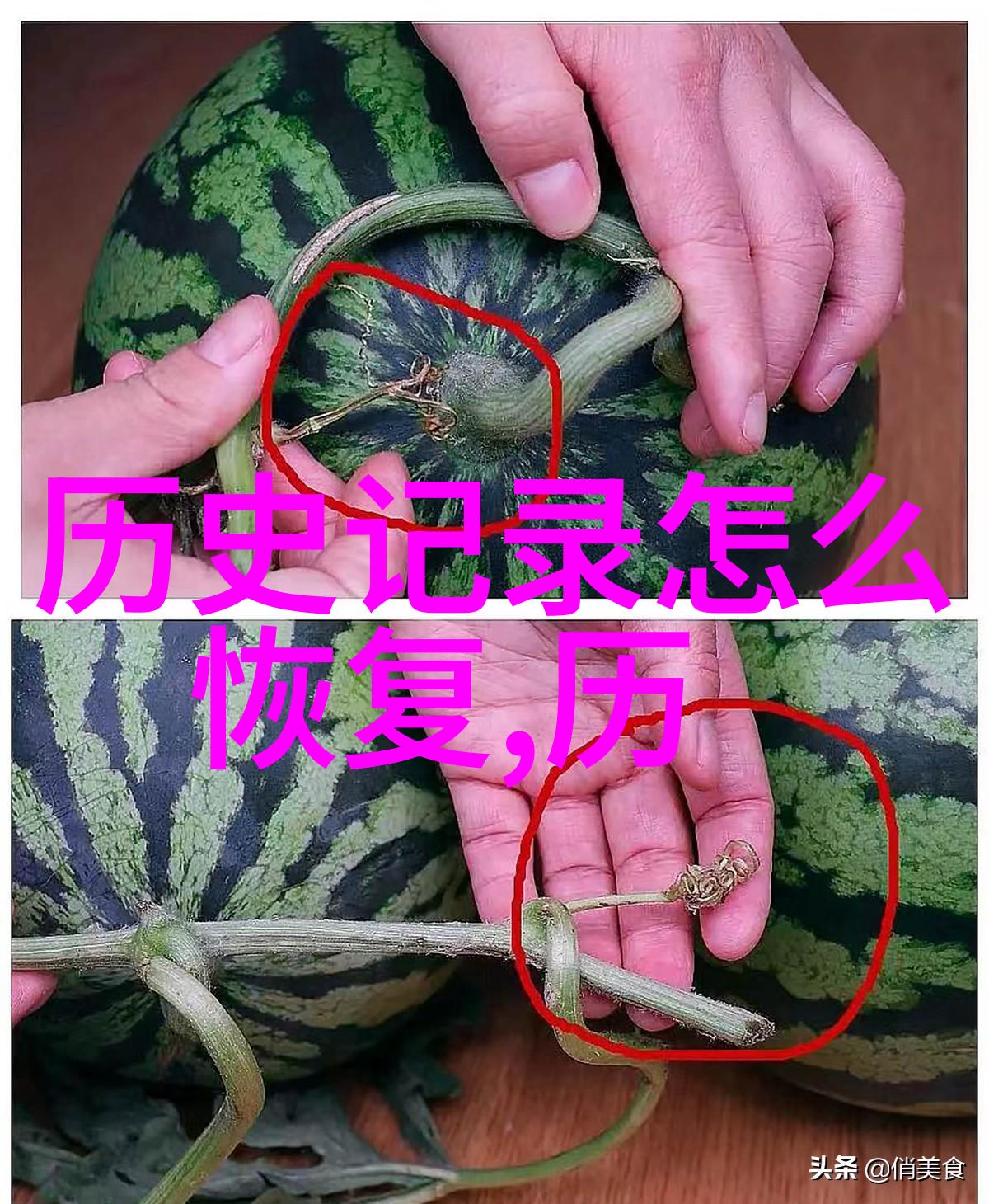 葡萄酒的文化起源从古老的果实到现代的醇香