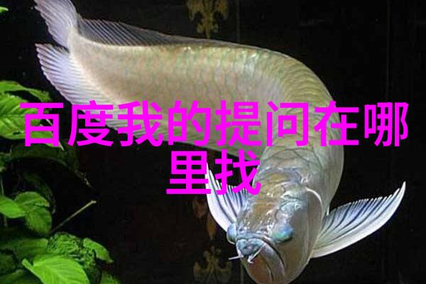 百度搜索引擎的网页版入口一个数字时代的门户