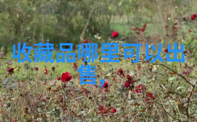 钱币收藏-珍贵货币价格指南钱币收藏家必备的价值参考