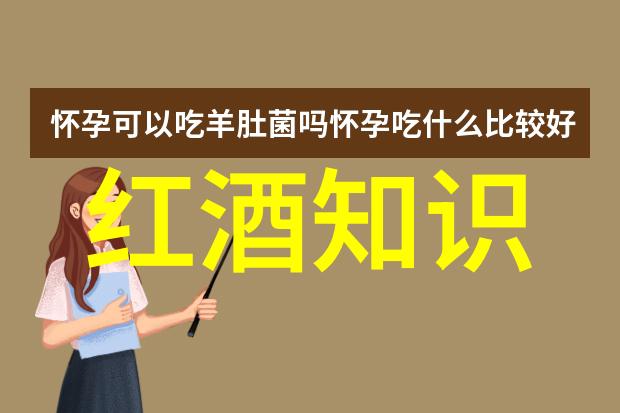 法国葡萄酒香域百威啤酒500ml一瓶醉心的旅程