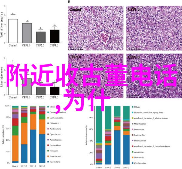 周边探秘风景如画的100公里自驾游之旅