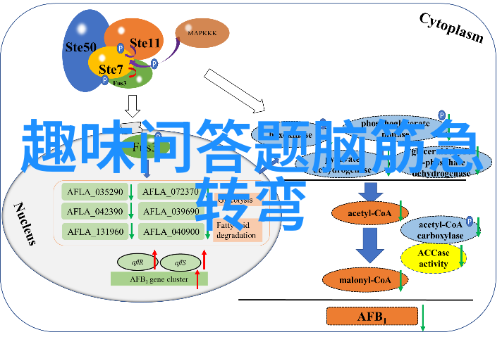 南星山的秘密花园白玫瑰庄园的迷人传说