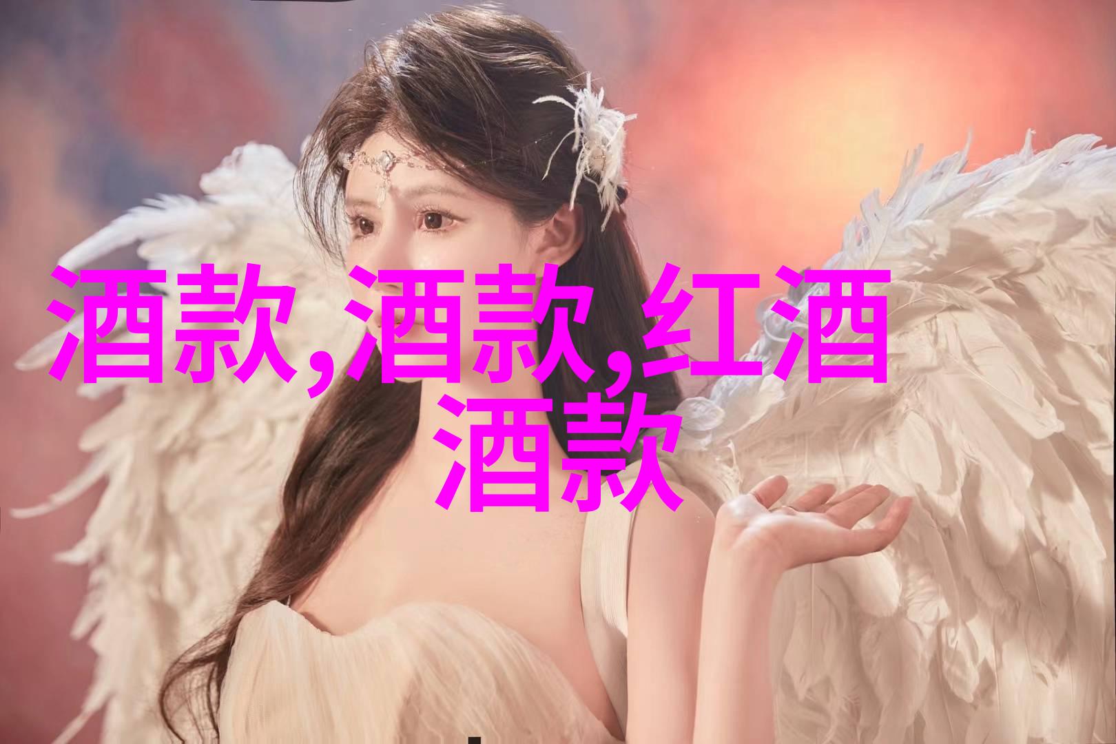 探索我在阿根廷的葡萄酒之旅揭秘主要产区