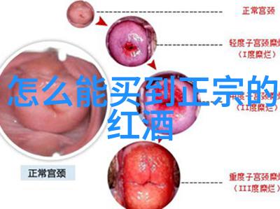 保本求胜利探索可靠性与盈利性的双重奏鸣之旅