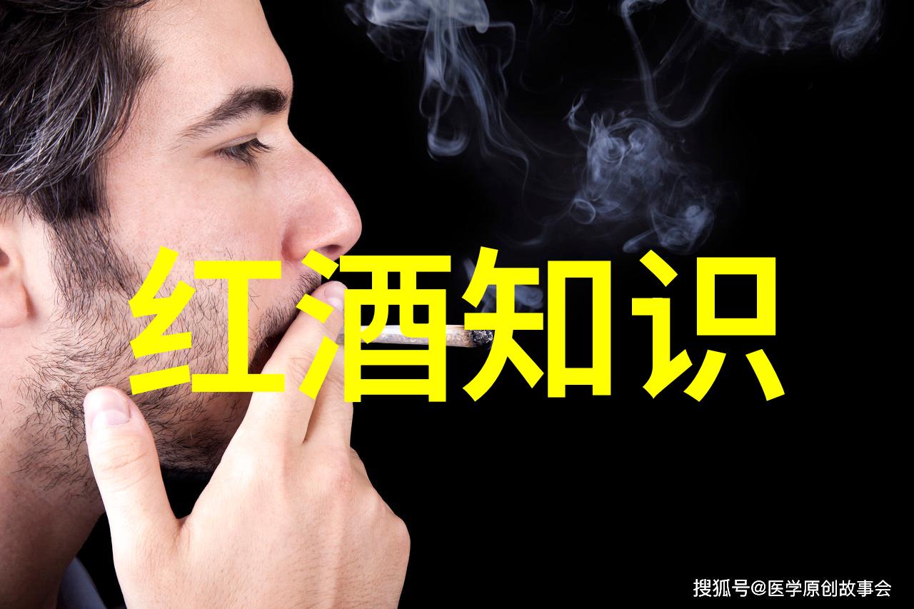 夜幕下的葡萄园红酒与心灵的交响