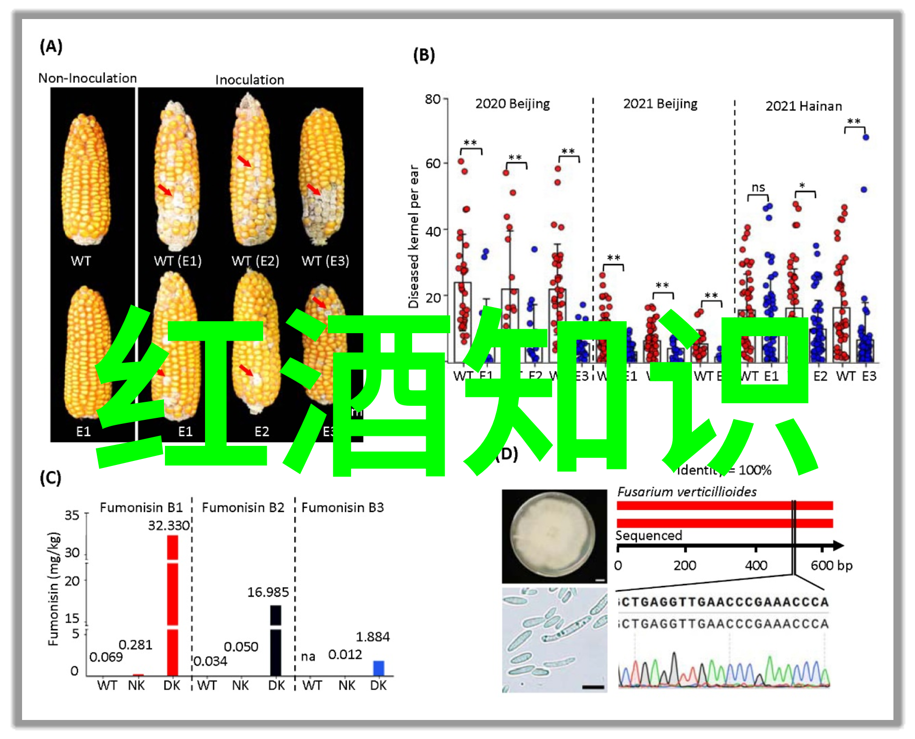 健康饮用法则享受每一口优质的葡萄汁