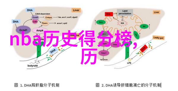 condasavel红酒与美食搭配指南提升用餐体验