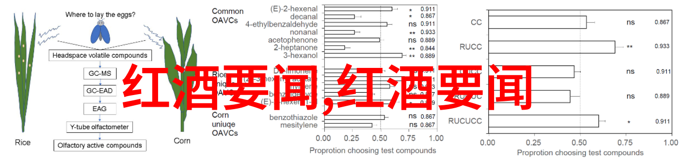 在杭州市郊可以体验到什么样的农家乐生活方式吗