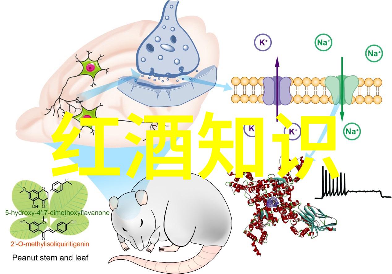 使用软件还是传统工具来绘制少女卡通图画大全更合适呢