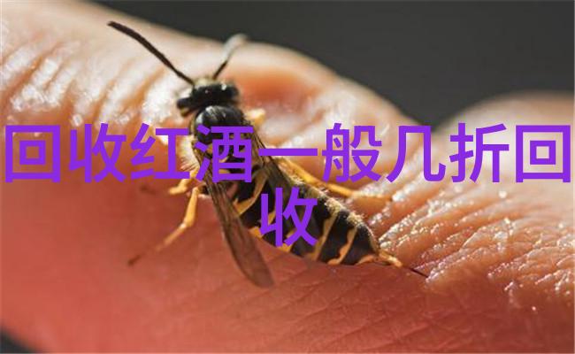 金沙酒业常务副总经理张道红离任华润入主前系董事长