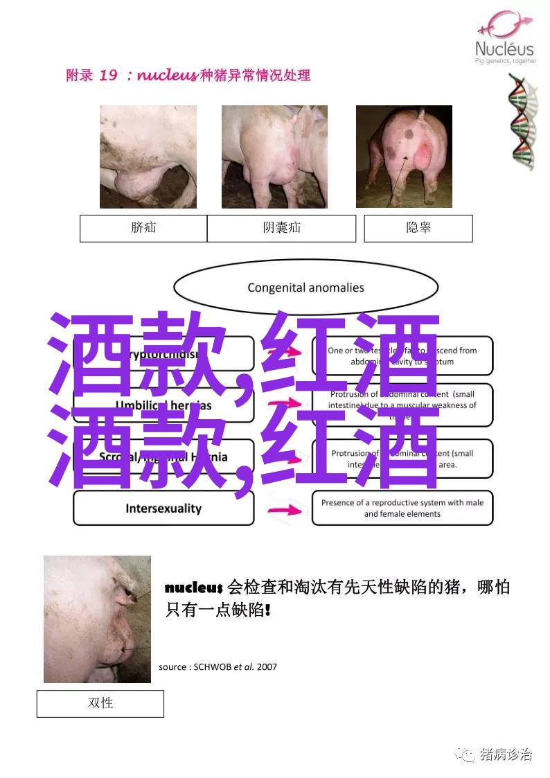 坐在硬邦邦的rb上面写作业我是RB上的学霸如何将不舒服变成动力