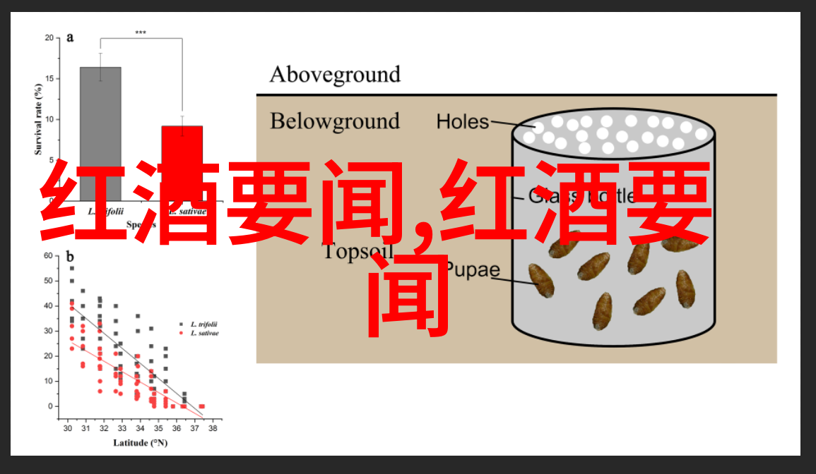 花季V3.0.2黄破解版夏日恋情游戏体验