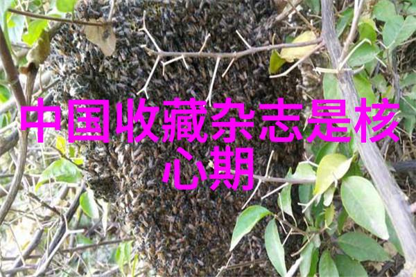 范仲淹鹅湖漫记里的爱国主义精神