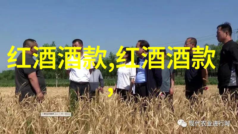 中国动漫周边市场分析与中餐葡萄酒搭配之美学对偶探究