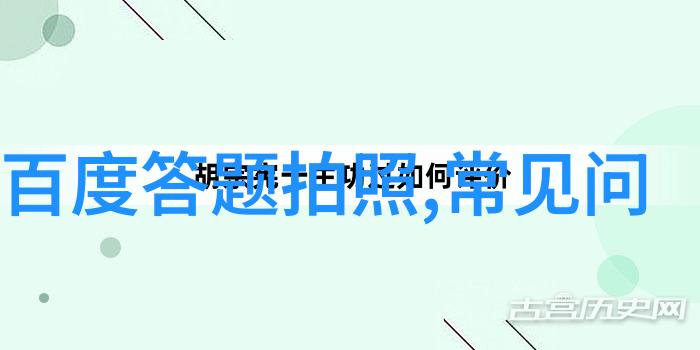 猫的价格表从零到英雄每一次抱抱都有价钱