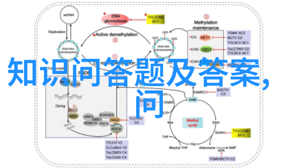 成都周末一日游探索香江美食锦里古韵与天府之国的魅力