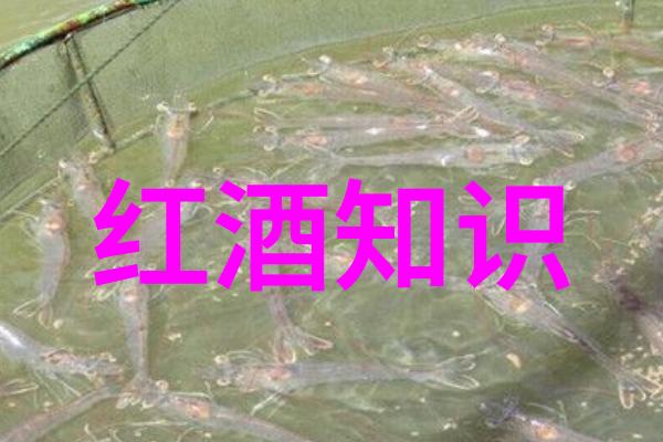 周边有哪些-探索身边的奇迹周围景点与生活设施全解析