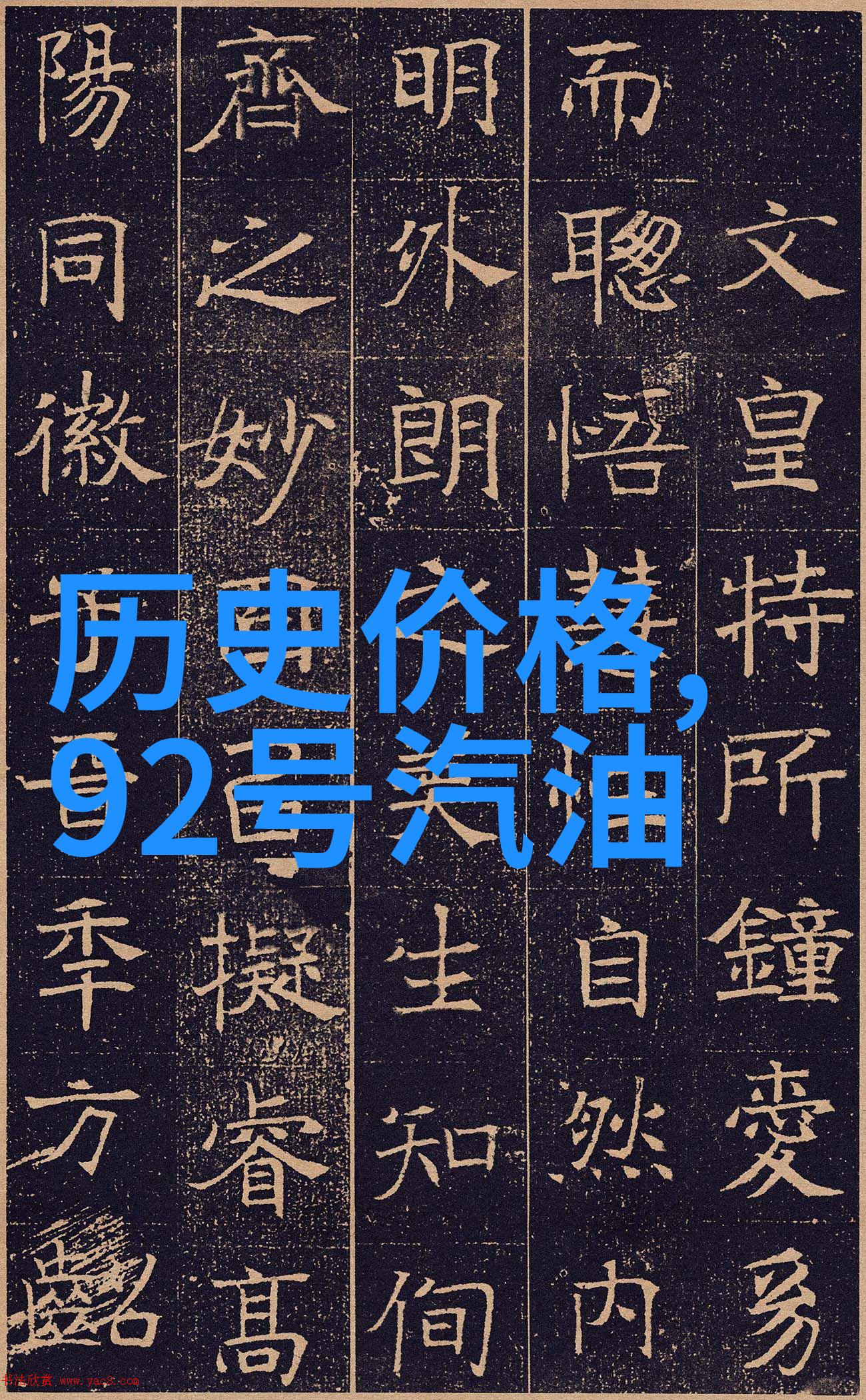 面对多样化选择我们应该如何做出最佳匹配来养育我们的新宠物