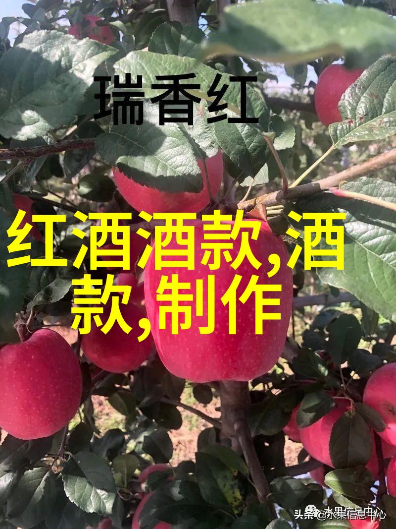 爪与毛探秘猫咪的多样面貌