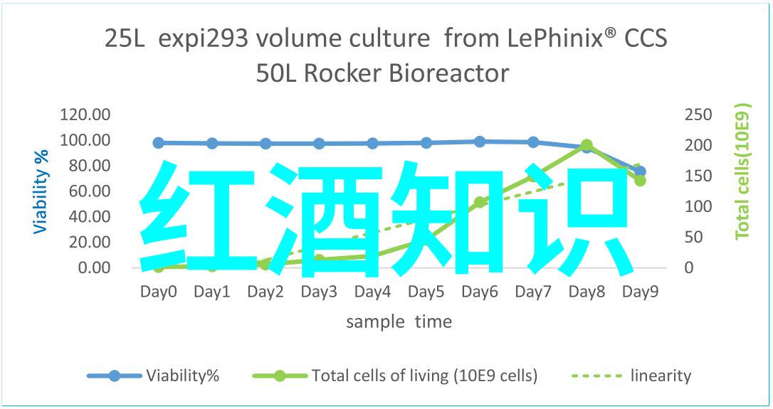 猫的世界探索不同品种与美丽瞬间各种猫咪类型介绍