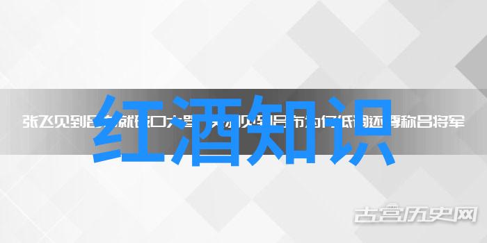 10个英雄人物的故事我亲眼见证的那些传奇岁月