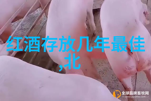 秘密花园里的玫瑰解锁它们的名字与传说