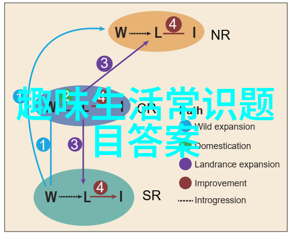 一路向西电影完整版追逐梦想的旅途