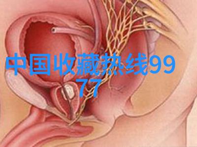 伦敦葡萄酒博览会将在奥林匹克会展中心开幕探索文物与收藏品之分如同自然界中不同种类的花朵各有特点