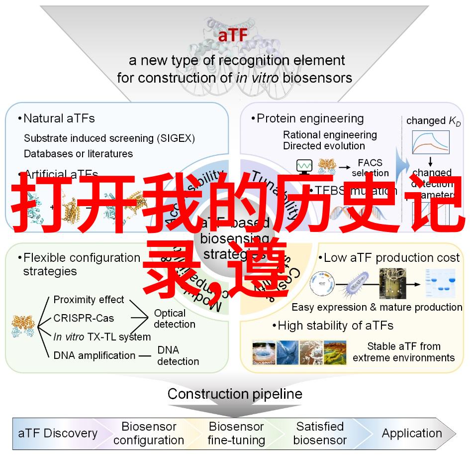 猫儿的盛宴探秘毛茸茸的王国