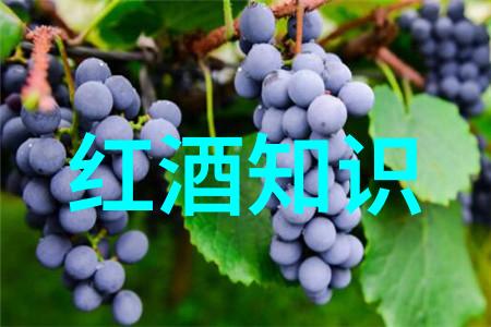 亲历恐怖经历探索7k7k小游戏中最可怕的地方