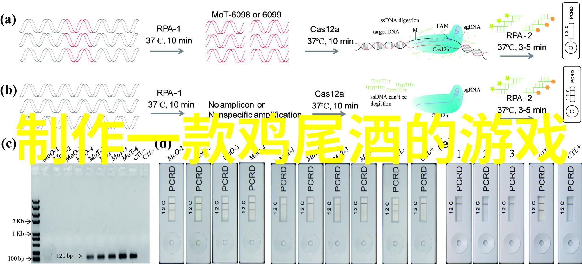 庄园春光下的知识启航解密3月26日小课堂答案之谜