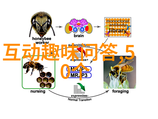 答主中心入口迷失寻找答主专属门户