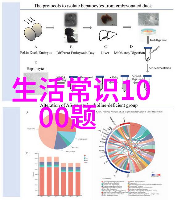 学长插笔一支书香的错误与启示