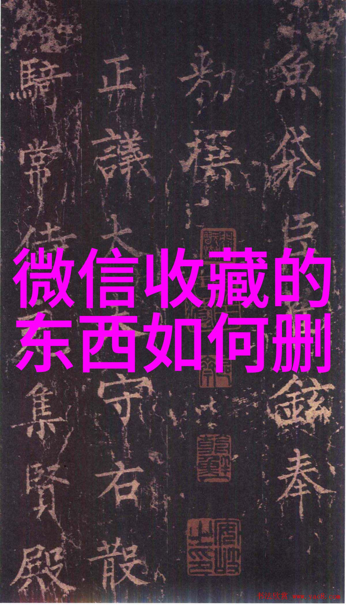 岛屿沉眠我亲眼见证了那片神秘的海岛如何在夜幕降临时悄然进入沉睡