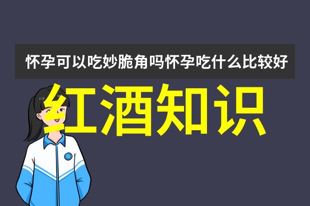 超越边界的葡萄之都探索那些隐秘的波尔多产区奇迹