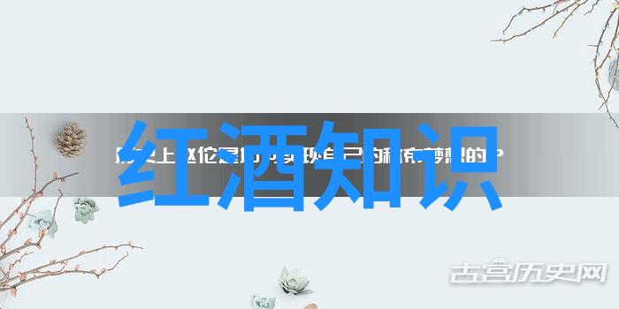 法国赤霞珠主要产区波尔多葡萄园