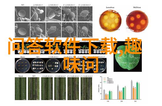 葡萄酒搜查网揭秘佳酿寻觅的艺术与科技