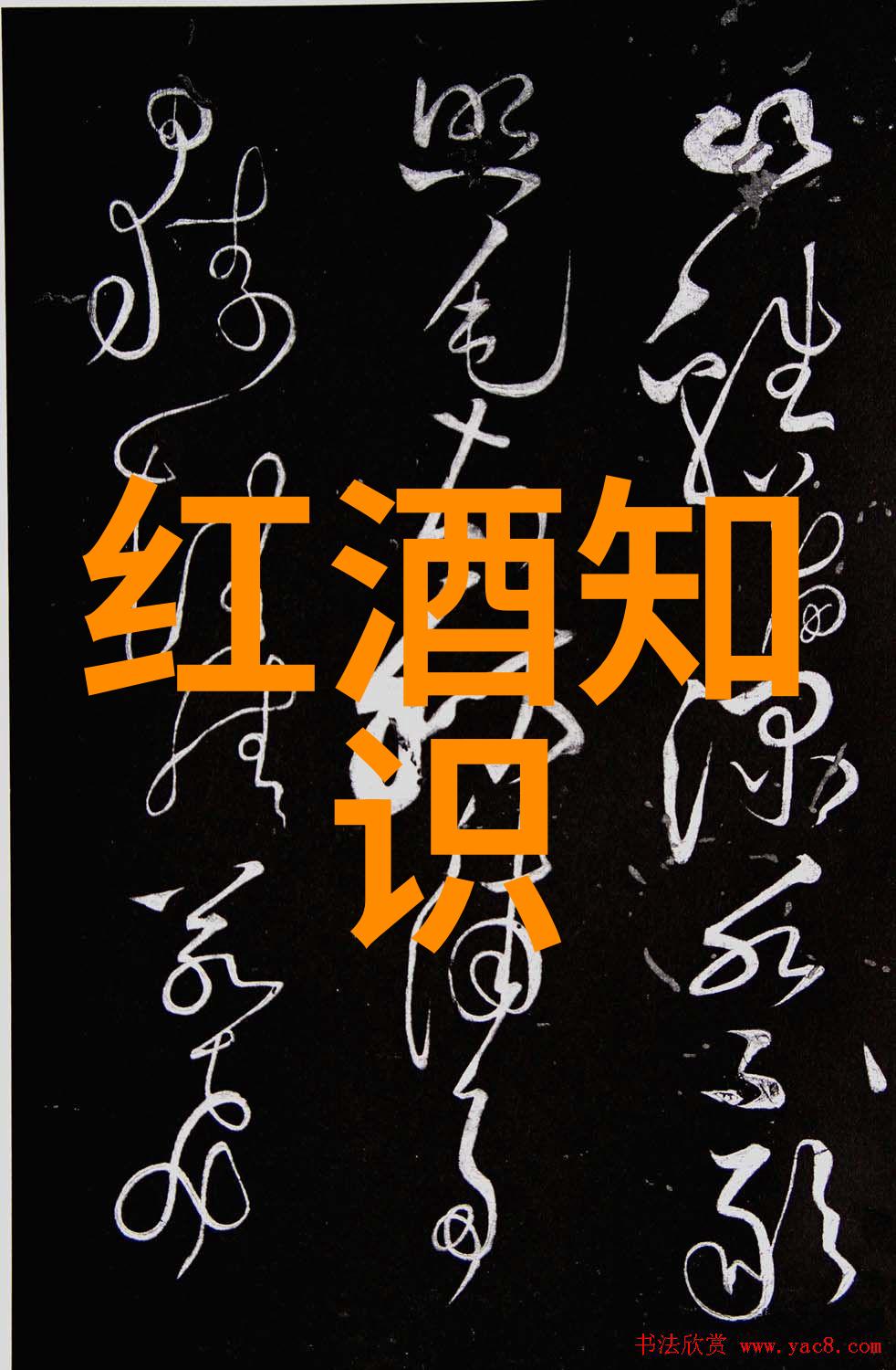 雷盛LEESON红酒分析在社会场景中个人如何打开销售渠道以共鸣艺术与情感