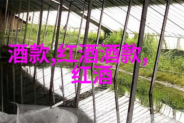 透明界面隐蔽功能寻找并掌握优秀收藏工具的技巧