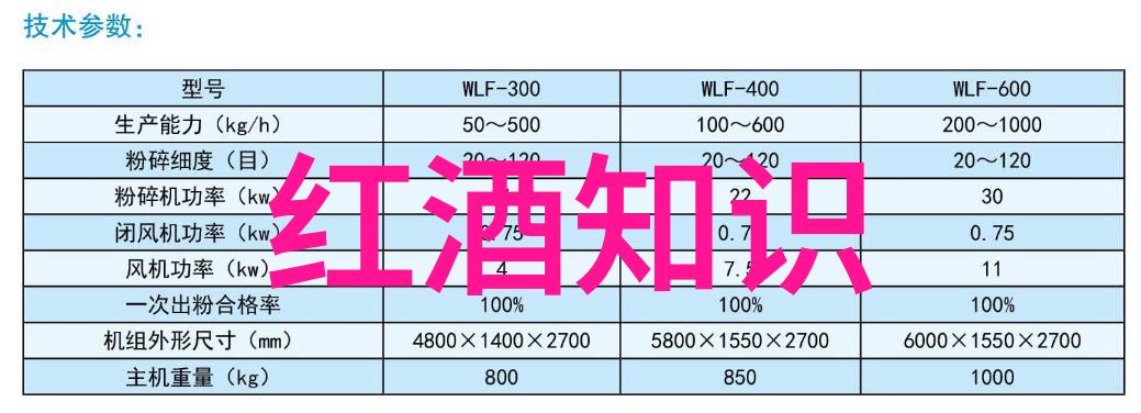 主题我觉得8月份最适合去的城市是上海