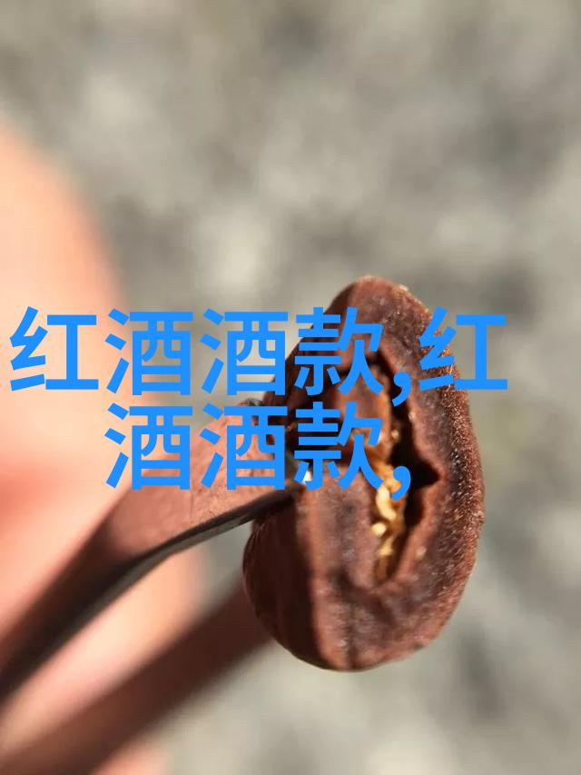 替身王妃穿越时空的皇家隐婚